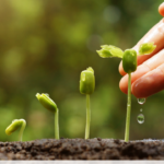 Acides organiques en agriculture