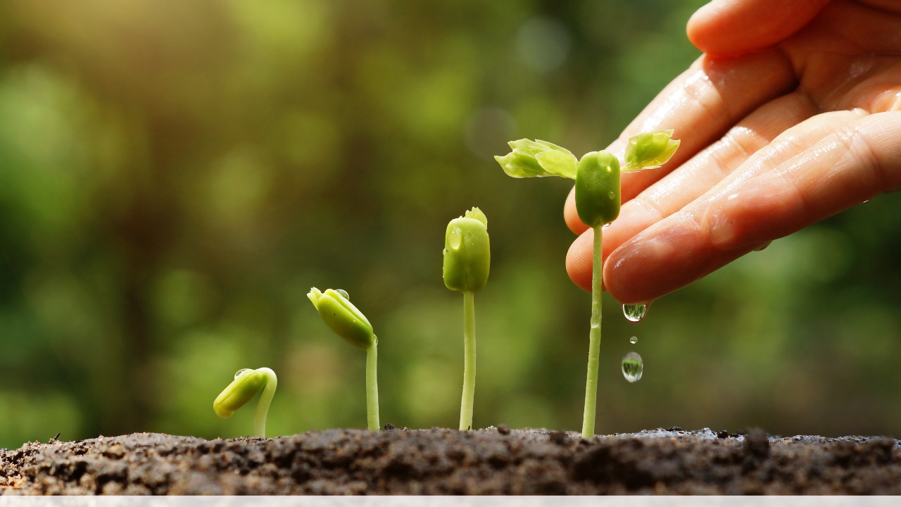 Acides organiques en agriculture